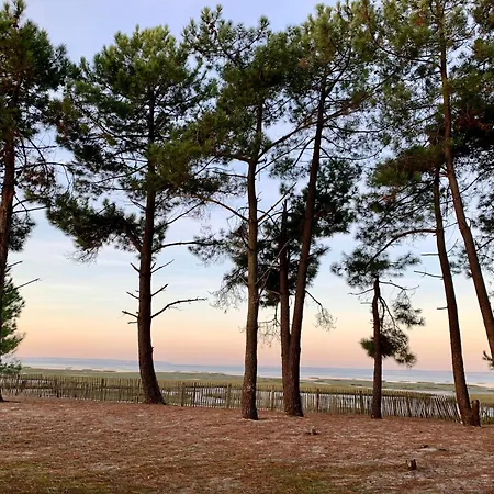Hotel Entre Bassin Et Ocean, Piscine Chauffee Lège-Cap-Ferret